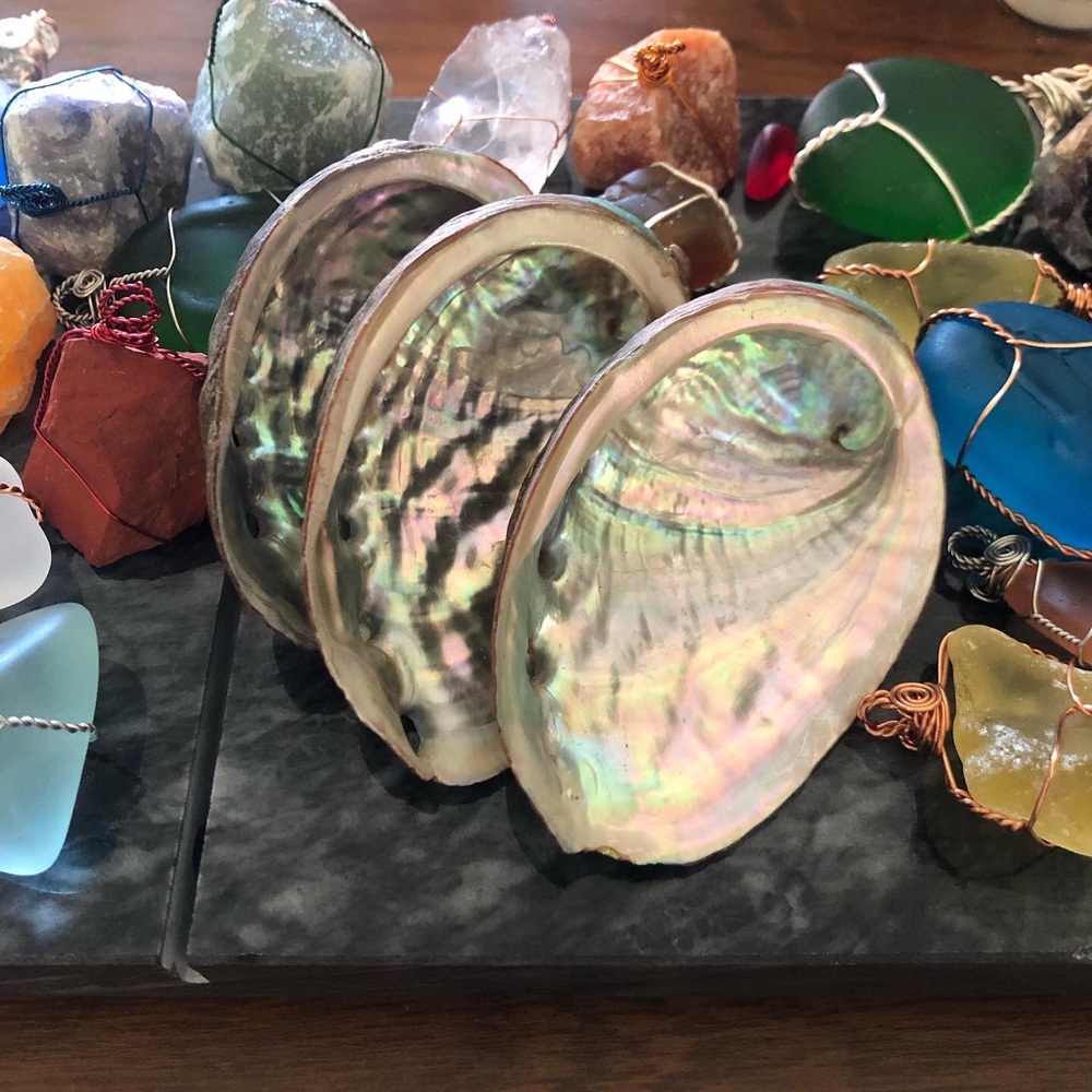 Abalone Shells🐚
